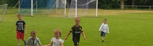 Zdjęcie Stegna