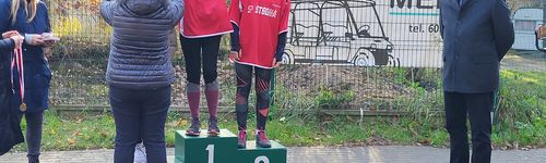 Zdjęcie Stegna
