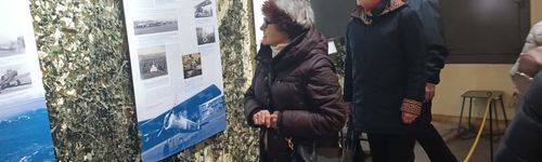 Zdjęcie Stegna