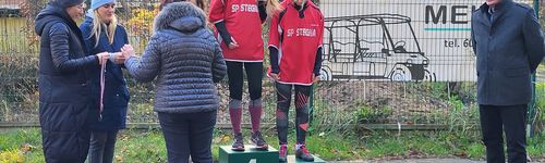 Zdjęcie Stegna