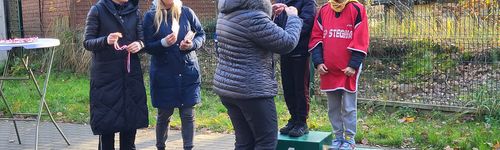 Zdjęcie Stegna