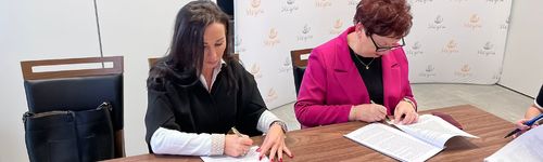 Zdjęcie Stegna