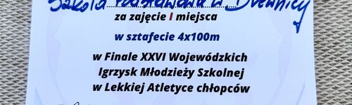 Zdjęcie Stegna