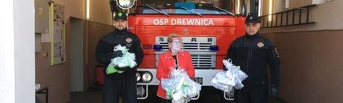 Zdjęcie Stegna