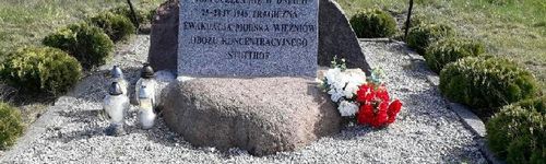 Zdjęcie Stegna