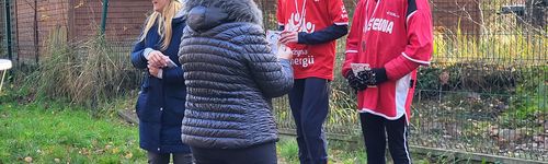 Zdjęcie Stegna