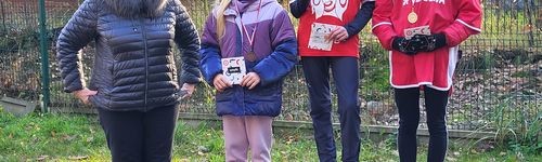 Zdjęcie Stegna